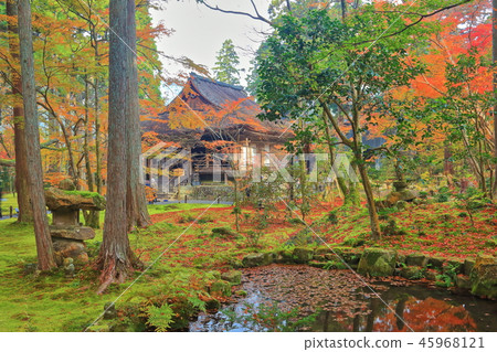 Kyoto Ohara Sansenin Oso Gokurakuin of autumn leaves 45968121
