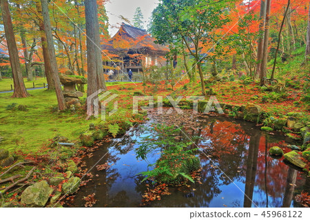 Kyoto Ohara Sansenin Oso Gokurakuin of autumn leaves 45968122