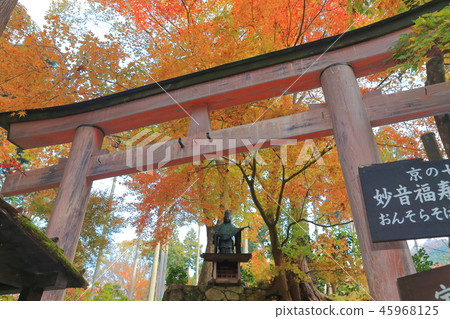 Kyoto Ohara Sansenin Benzaiten of autumn leaves 45968125