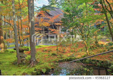 Kyoto Ohara Sansenin Oso Gokurakuin of autumn leaves 45968127