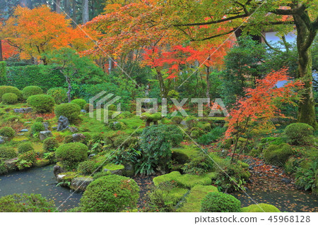 Kyoto Ohara Sansen-in of autumn leaves 45968128