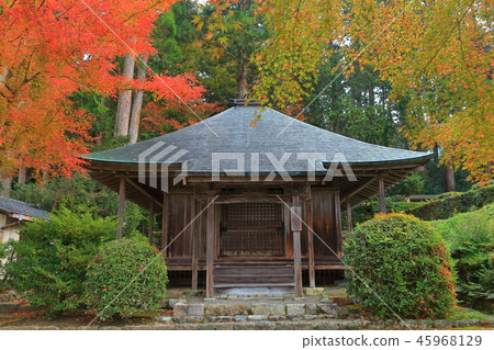 Autumnal Hokkedo (Kyoto Ohara Sansen-in) 45968129