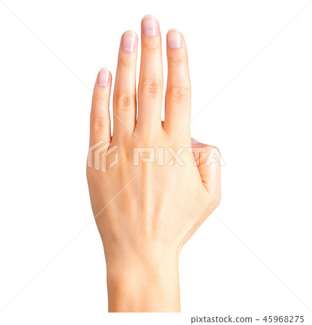 Female hand showing four fingers and palm Female hand showing four fingers and palm 45968275