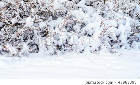 Winter landscape background Winter landscape background 45968395