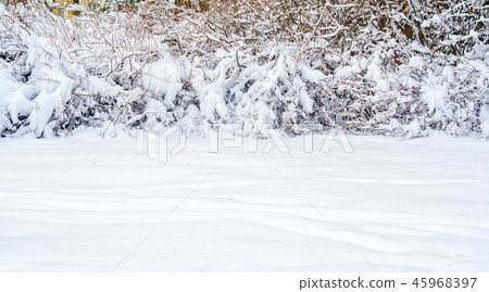 Winter landscape background Winter landscape background 45968397