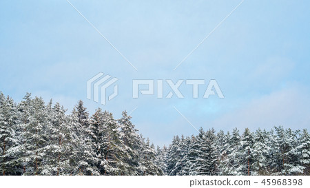 Snowy winter landscape Snowy winter landscape 45968398