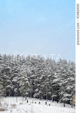 Snowy winter landscape Snowy winter landscape 45968400