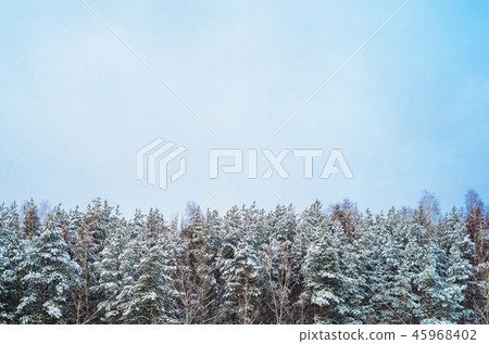 Snowy winter landscape Snowy winter landscape 45968402