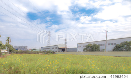 一望無際的花海 45968494