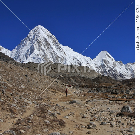 Mount Pumori. 45968705