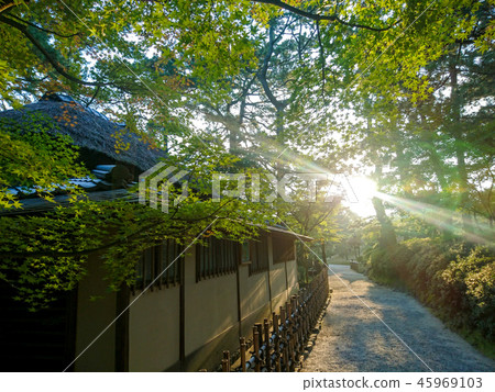 Asahi Sunbeams Road Asahi Sunbeams Road 45969103