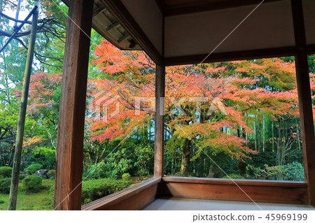 Autumn leaves of Takahosen-in (Kyoto Ohara) Autumn leaves of Takahosen-in (Kyoto Ohara) 45969199