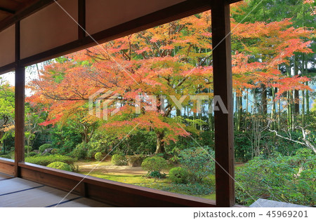 Takahosen-in(京都大原)的秋葉 Takahosen-in(京都大原)的秋葉 45969201