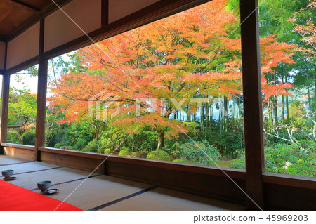Autumn leaves of Takahosen-in (Kyoto Ohara) 45969203