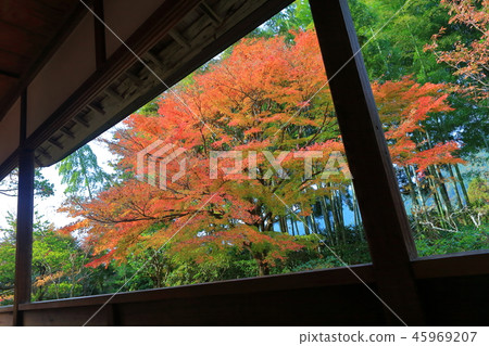 Takahosen-in(京都大原)的秋葉 Takahosen-in(京都大原)的秋葉 45969207