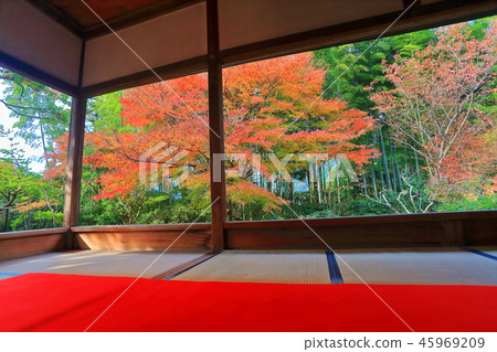 Takahosen-in（京都大原）的秋葉 45969209