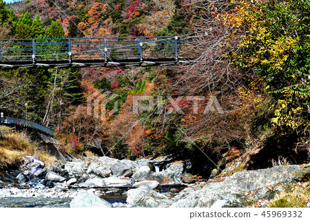 Suspension bridge Suspension bridge 45969332