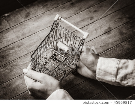 Young woman hands holding little cart Young woman hands holding little cart 45969817
