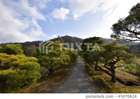 Shogakuin皇宮Namiki Shogakuin皇宮Namiki 45970624