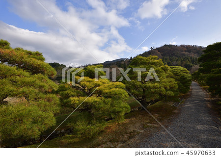 Shogakuin皇宮Namiki 45970633