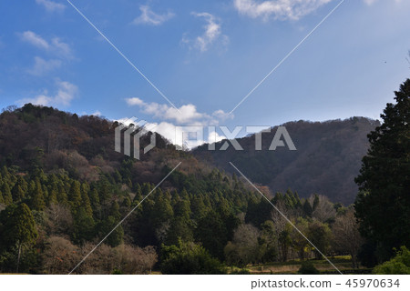 Shogakuin Rikyu Shogakuin Rikyu 45970634