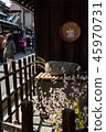 Peach's festival 45970731
