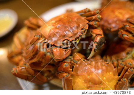 上海蟹 照片素材 圖片 圖庫