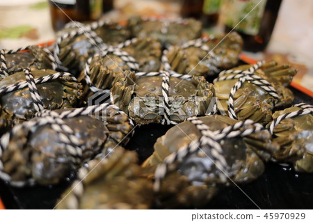 Shanghai Rui 45970929