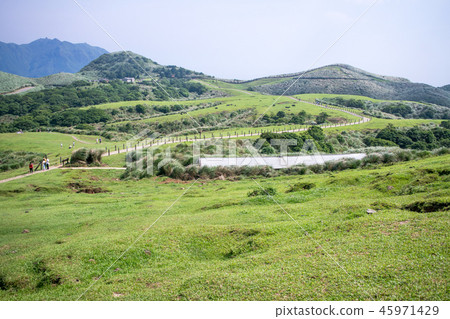 Taipei, foothills of Yangmingshan, Qingtiangang Grassland (Qingtiangang Grassland, Qingtiangang Grassland) Taipei, foothills of Yangmingshan, Qingtiangang Grassland (Qingtiangang Grassland, Qingtiangang Grassland) 45971429