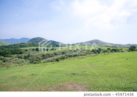 Taipei, foothills of Yangmingshan, Qingtiangang Grassland (Qingtiangang Grassland, Qingtiangang Grassland) Taipei, foothills of Yangmingshan, Qingtiangang Grassland (Qingtiangang Grassland, Qingtiangang Grassland) 45971436