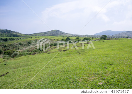 Taipei, foothills of Yangmingshan, Qingtiangang Grassland (Qingtiangang Grassland, Qingtiangang Grassland) Taipei, foothills of Yangmingshan, Qingtiangang Grassland (Qingtiangang Grassland, Qingtiangang Grassland) 45971437