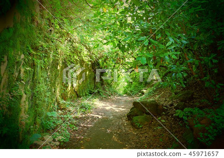 山路 45971657