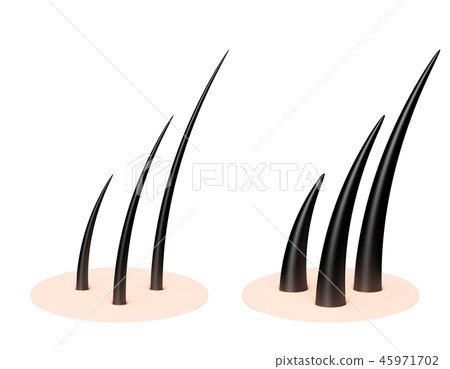 頭髮圖案 頭髮圖案 45971702