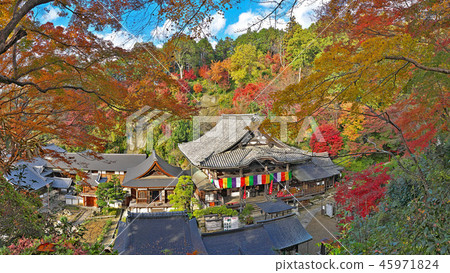 [Okajira] (High Resolution Version) Asuka Muraoka, Takaichi-gun, Nara Prefecture 45971824