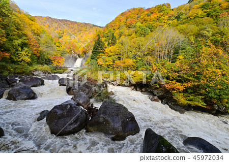 Mt. Nagara秋天秋葉 45972034