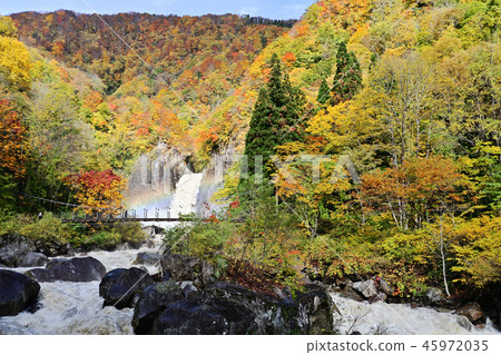 Mt. Nagara秋天秋葉 Mt. Nagara秋天秋葉 45972035