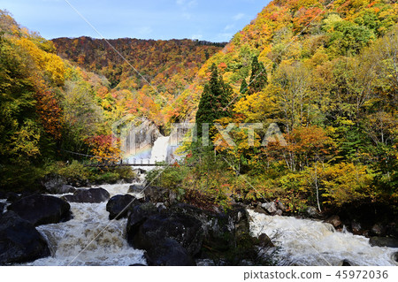Mt. Nagara Falls autumn leaves 45972036