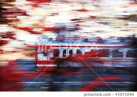 Tobu Nichirei（秋季） 45972099