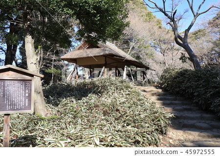 Scenery of Rikugien in Honkomagome, Bunkyo-ku, Tokyo 45972555