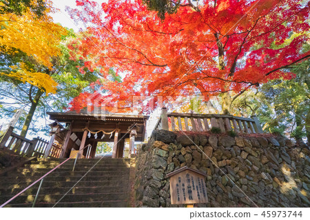 櫪木和Karasawa寺廟的秋葉 45973744