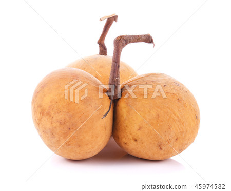 Santols isolated on white background 45974582