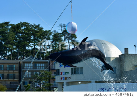越前加賀海岸國家紀念碑越前松島水族館 45974612