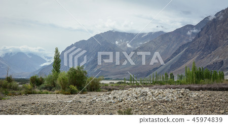Mountain scenery of Ladakh, India 45974839