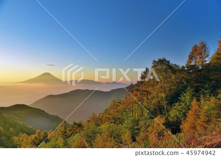 Yellow leaves of larch and Mt. Fuji in the morning from Kushigatayama Yellow leaves of larch and Mt. Fuji in the morning from Kushigatayama 45974942