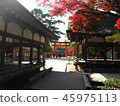 Kamigamo Shrine 2 45975113