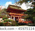 Kamigamo Shrine 45975114
