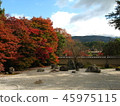 Fall Shihoinin Ishiba 2 45975115