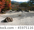 Fall Shihoinin Stone garden 45975116