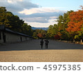 Kyoto Imperial Palace 2 in autumn 45975385