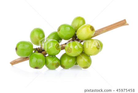 green coffee beans on white background 45975458
